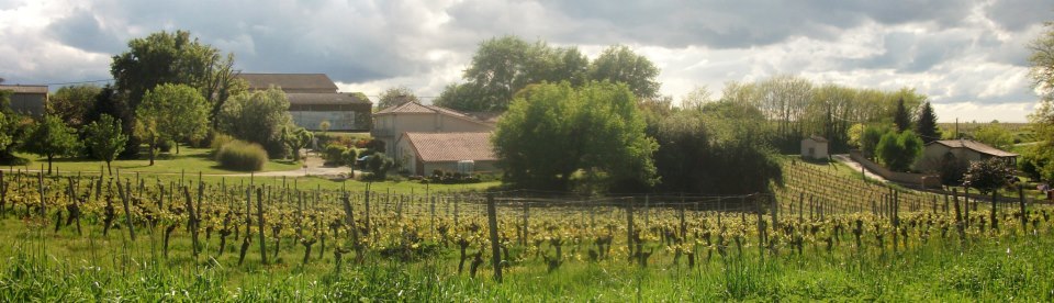 La vue sur le vignoble Cloud9 de Hourcat Sud Cardan Bordeaux